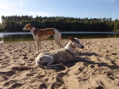 Hundestrand Germendorf