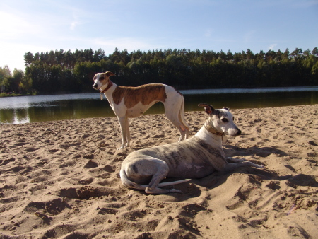 Kopete und Robin
