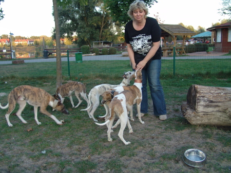 Ulrike und die Whippchen