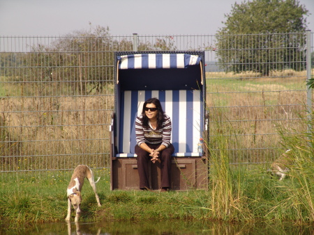 Frauchen und die Whippchen