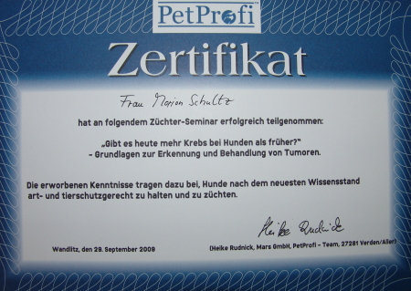 Zertifikat 