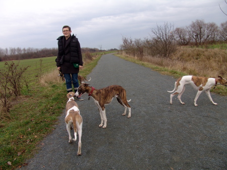 Hundeauslauf