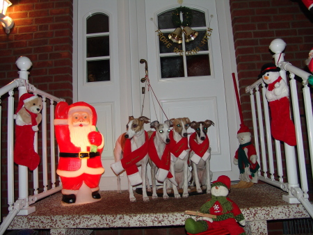 Weihnachtswhippchen