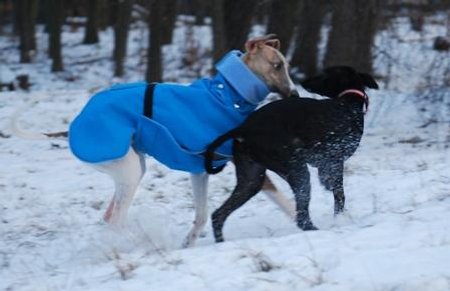 Marley und Naja 