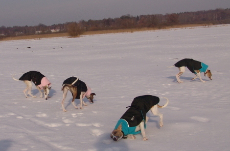 Spass im Schnee