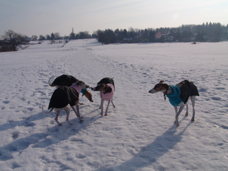 Stöckchenspiel im Schnee