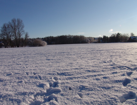 Schneelandschaft