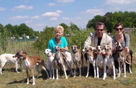 Whippetfamilie